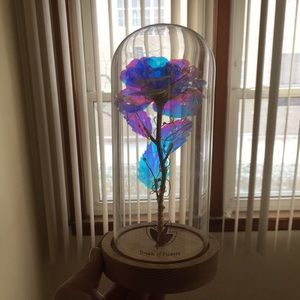 Light up flower from dream flower (original)